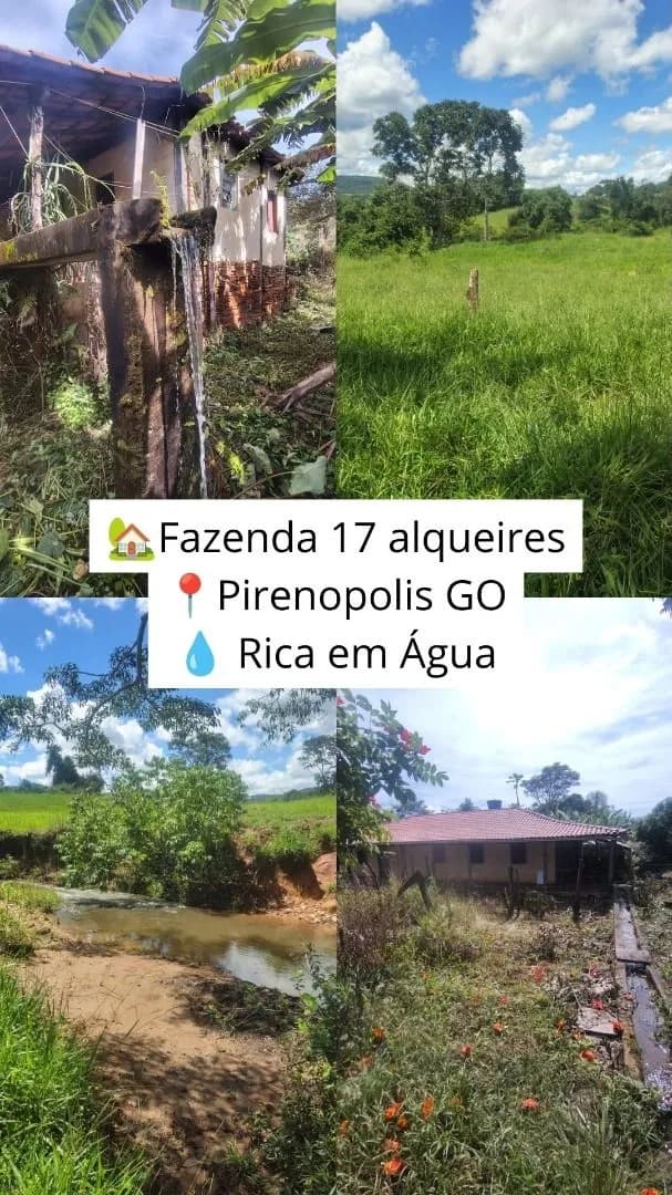 Fazenda - Zona Rural - Pirenópolis — foto 1